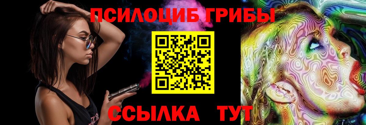 Псилоцибиновые грибы Psilocybe Вольск