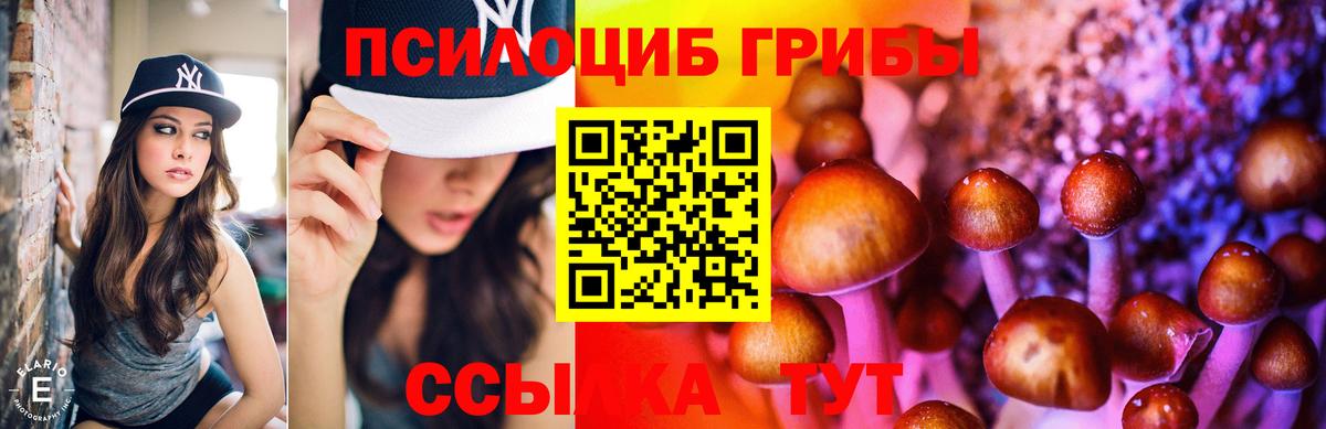 Вольск  Галлюциногенные грибы ЛСД  купить   Вход с VPN 